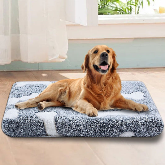 1695003118102-c2b1a6a931584be7964e9ab331876243-goods