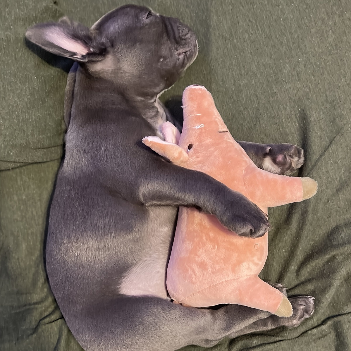 3421836b-0c6e-45af-86a8-cf97812cb2be