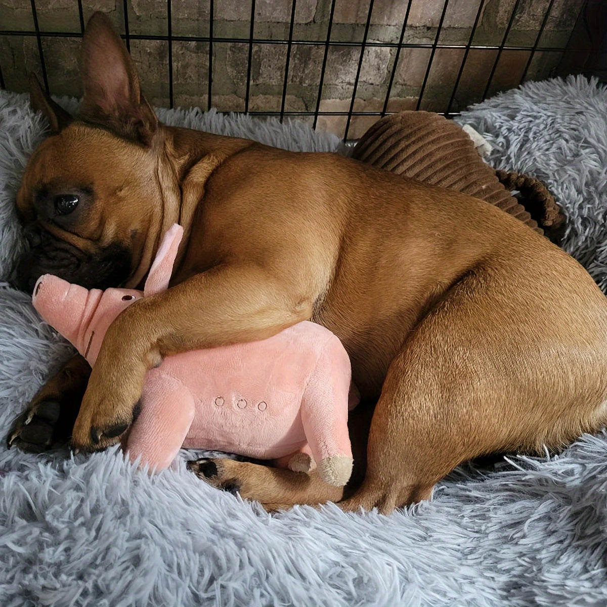 7f0774d2-4276-435d-9f2f-2a424d349760