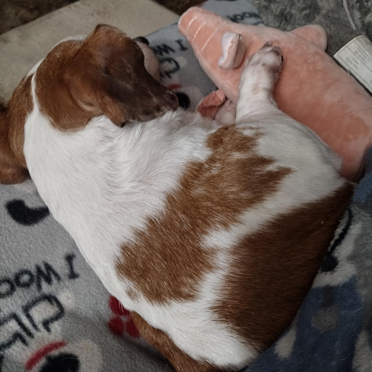 e48d7f0b-e7ca-40f0-8949-57e58e9dfc74