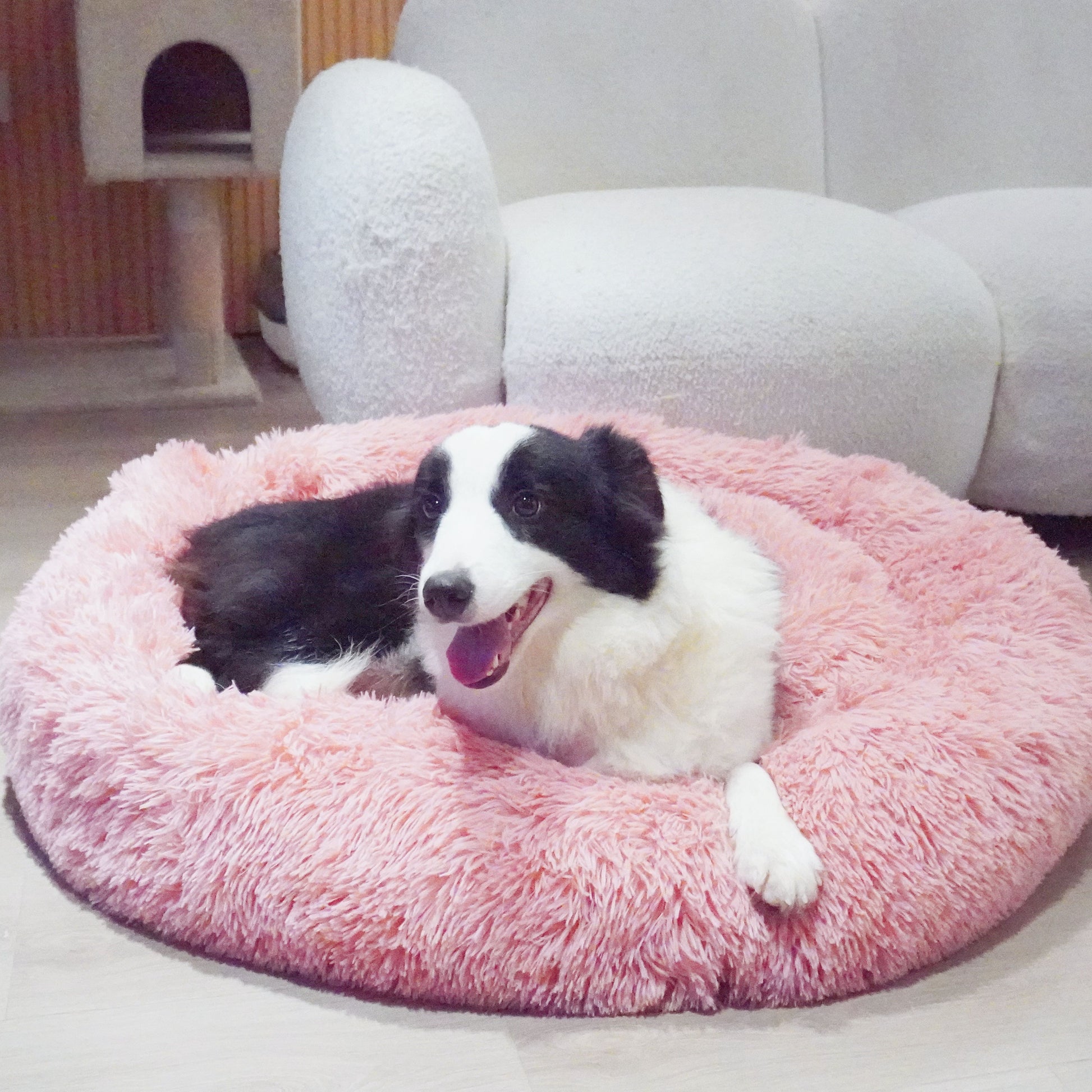 f702f0e4-e10e-4ff4-95c5-0b47aa2ff20b